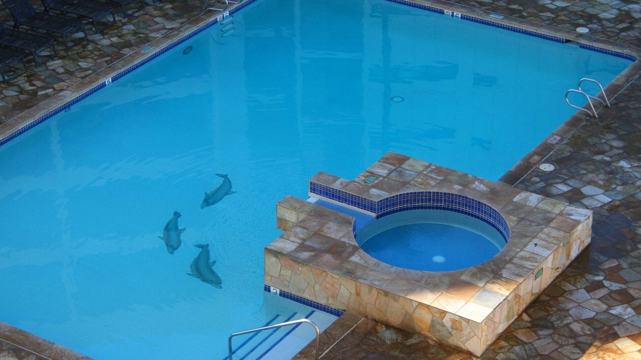 Photo of Outdoor in Kihei