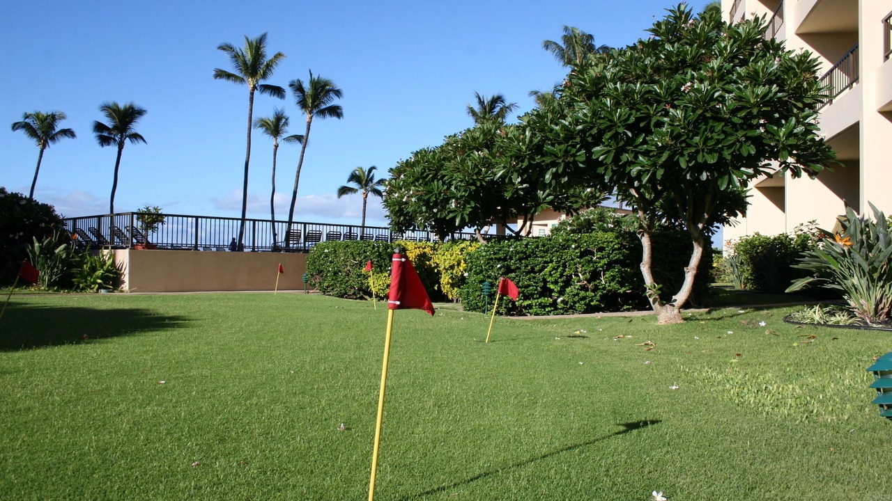 Photo of Outdoor in Kihei
