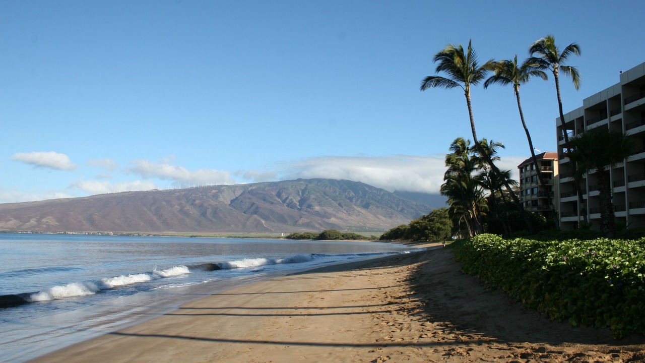 Photo of Others in Kihei