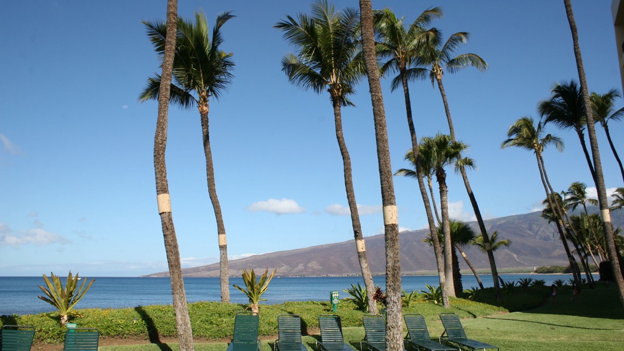 Photo of Outdoor in Kihei
