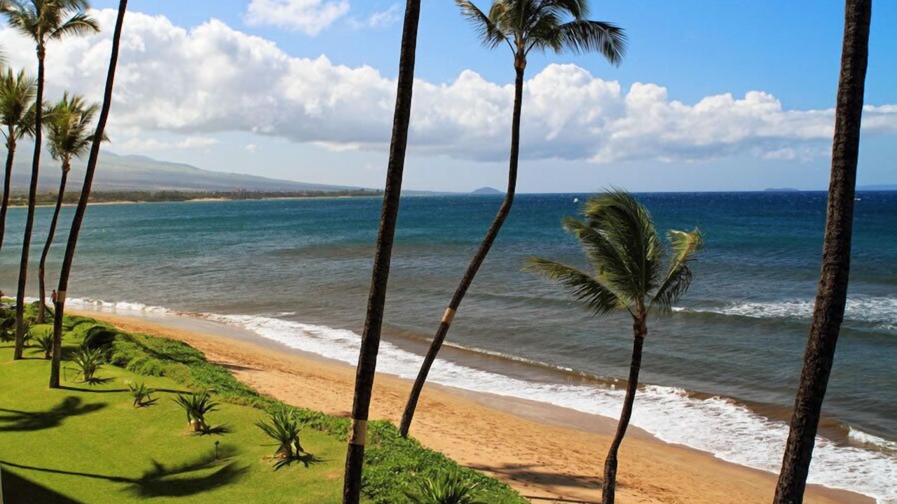 Photo of Others in Kihei