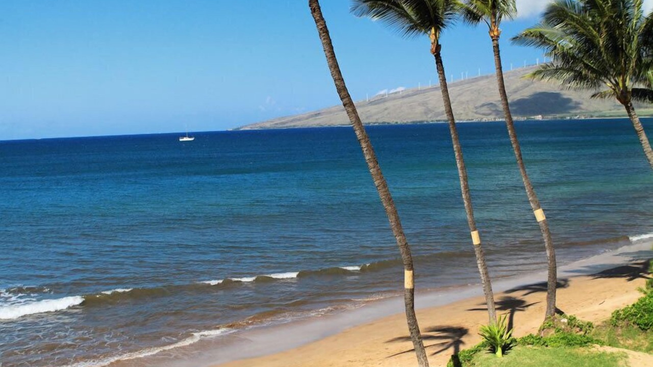 Photo of Others in Kihei