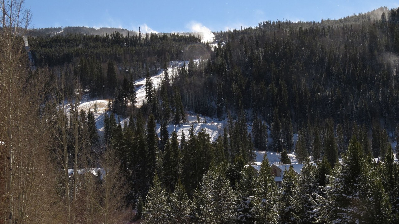 Photo of Others in Mountain House