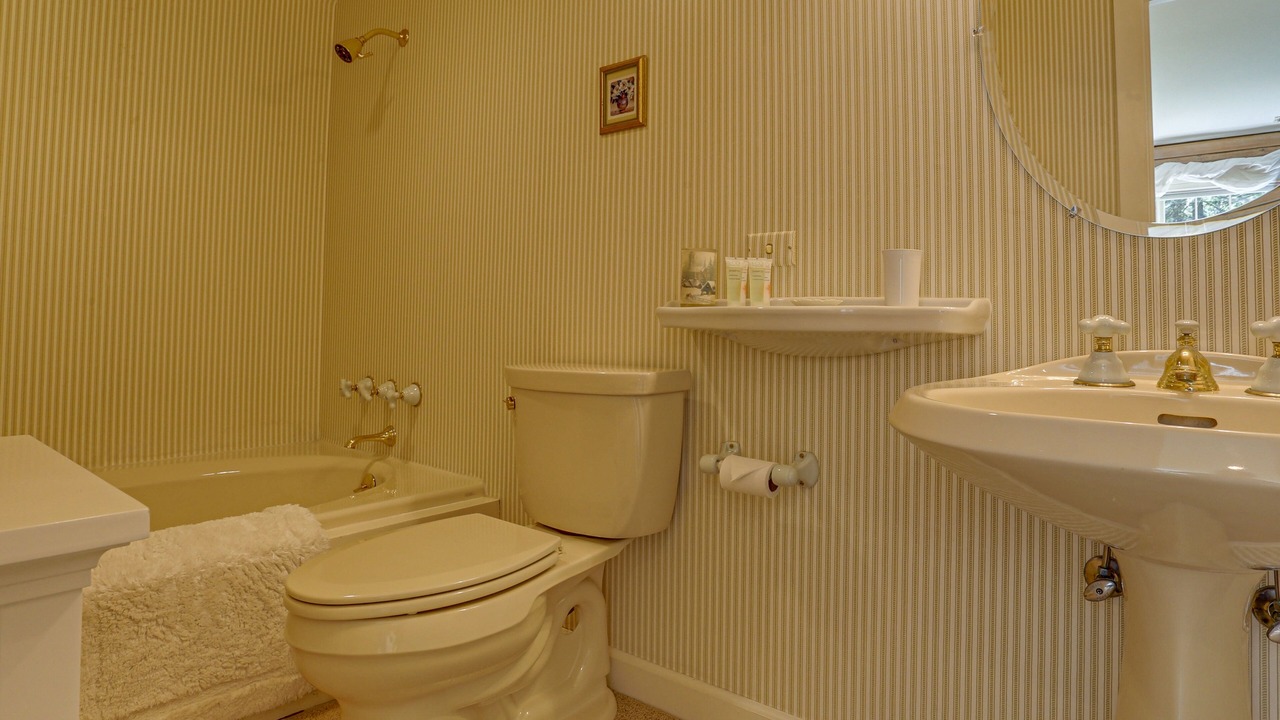 Photo of Bathroom in Trout Lake