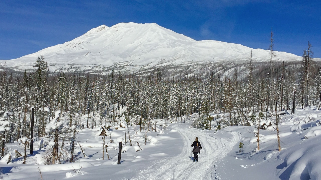 Photo of Others in Trout Lake