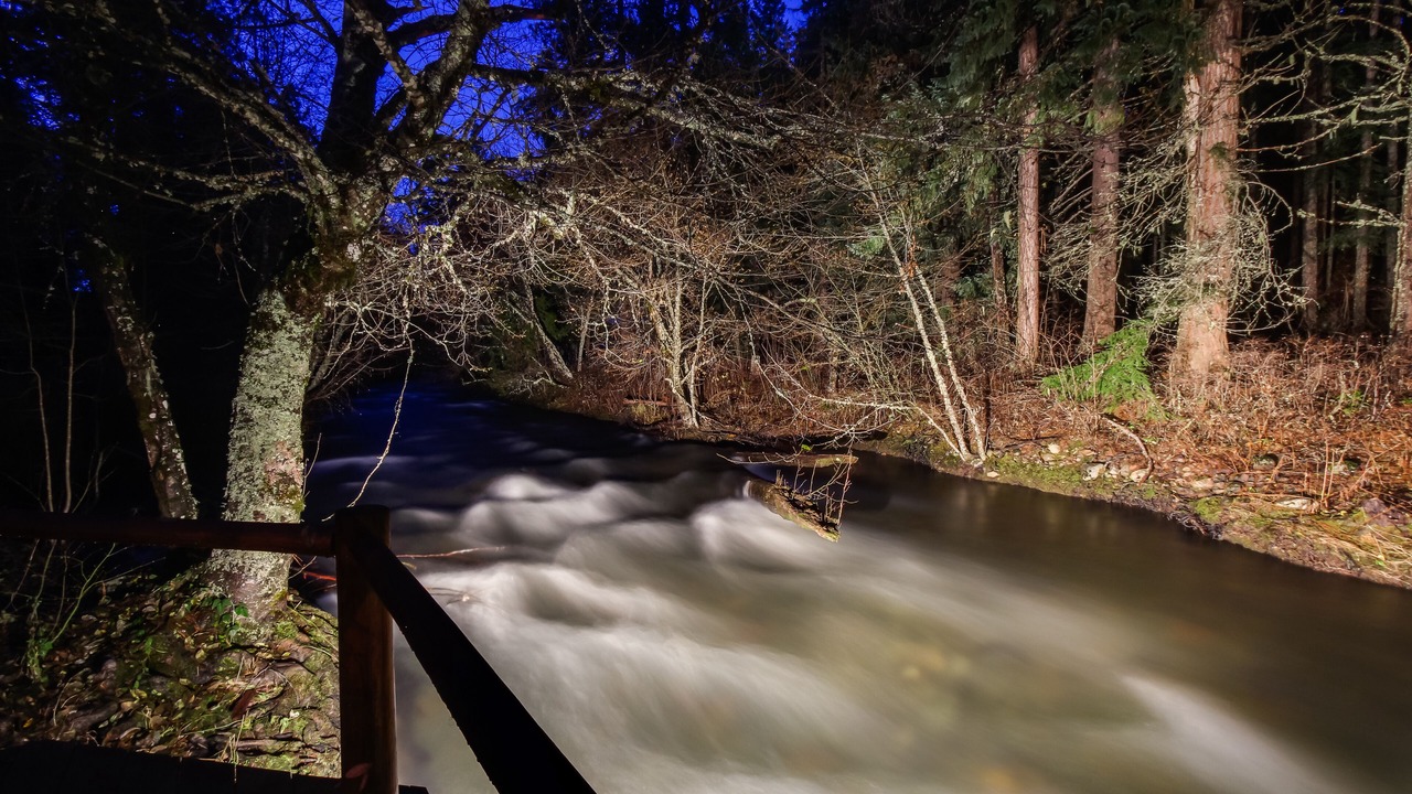 Photo of Outdoor in Trout Lake