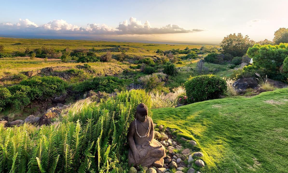 Photo of Others in Kamuela