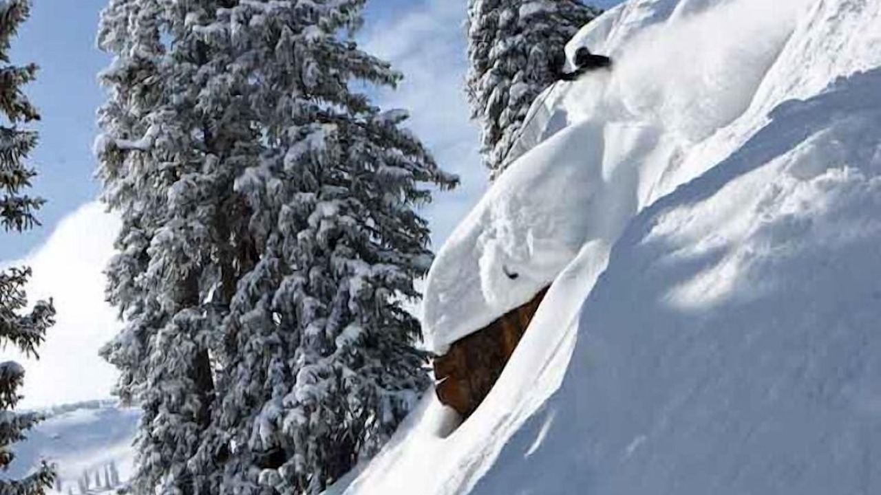 Photo of Outdoor in West End