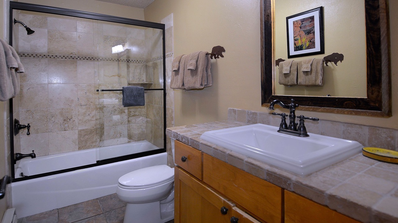 Photo of Bathroom in Mount Crested Butte