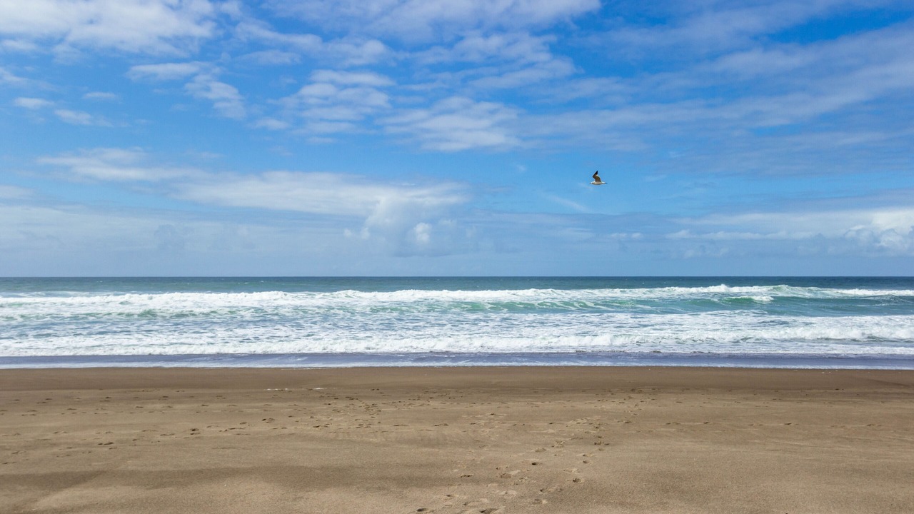 Photo of Others in Gleneden Beach