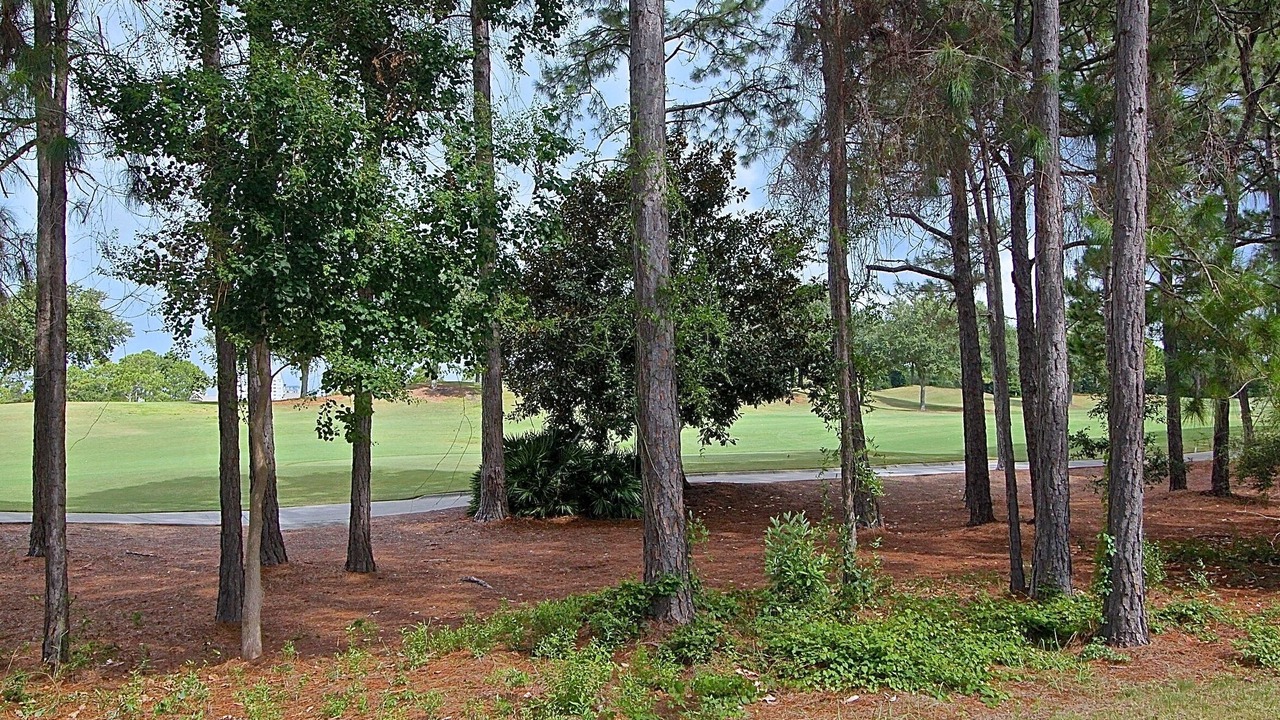 Photo of Outdoor in Laurel Grove