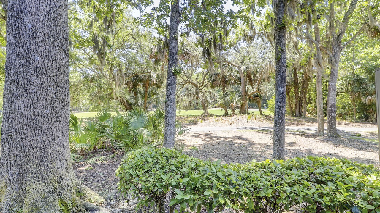 Photo of Others in Shipyard Plantation