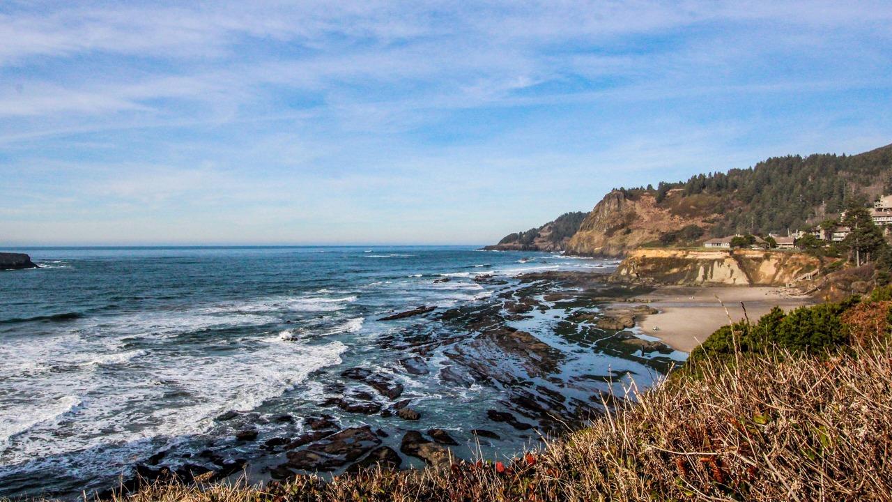 Photo of Others in Otter Rock