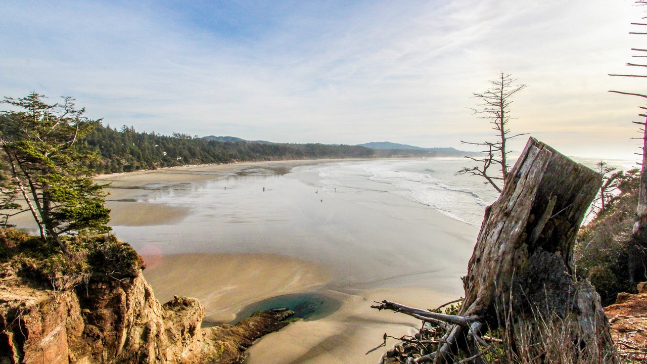 Photo of Others in Otter Rock