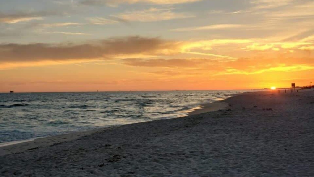 Photo of Others in Orange Beach
