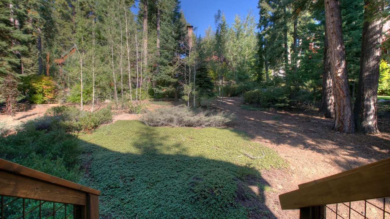 Photo of Outdoor in Carnelian Bay