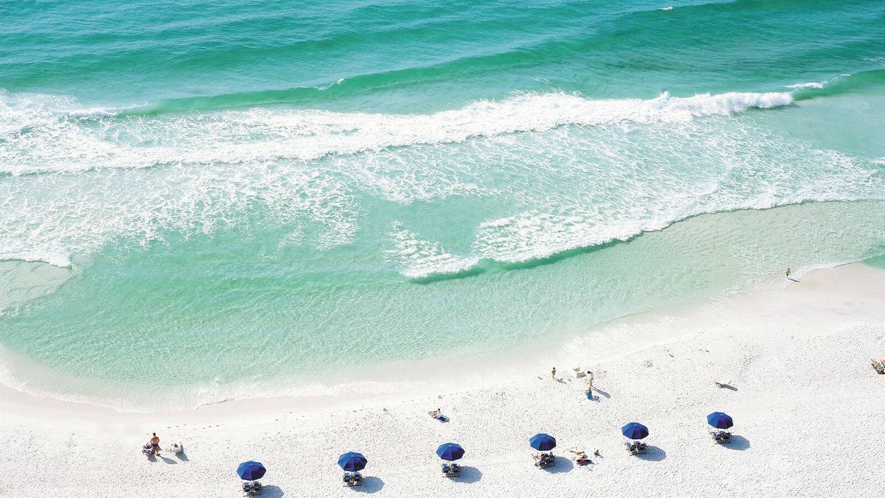 Photo of Others in Gulf Pines