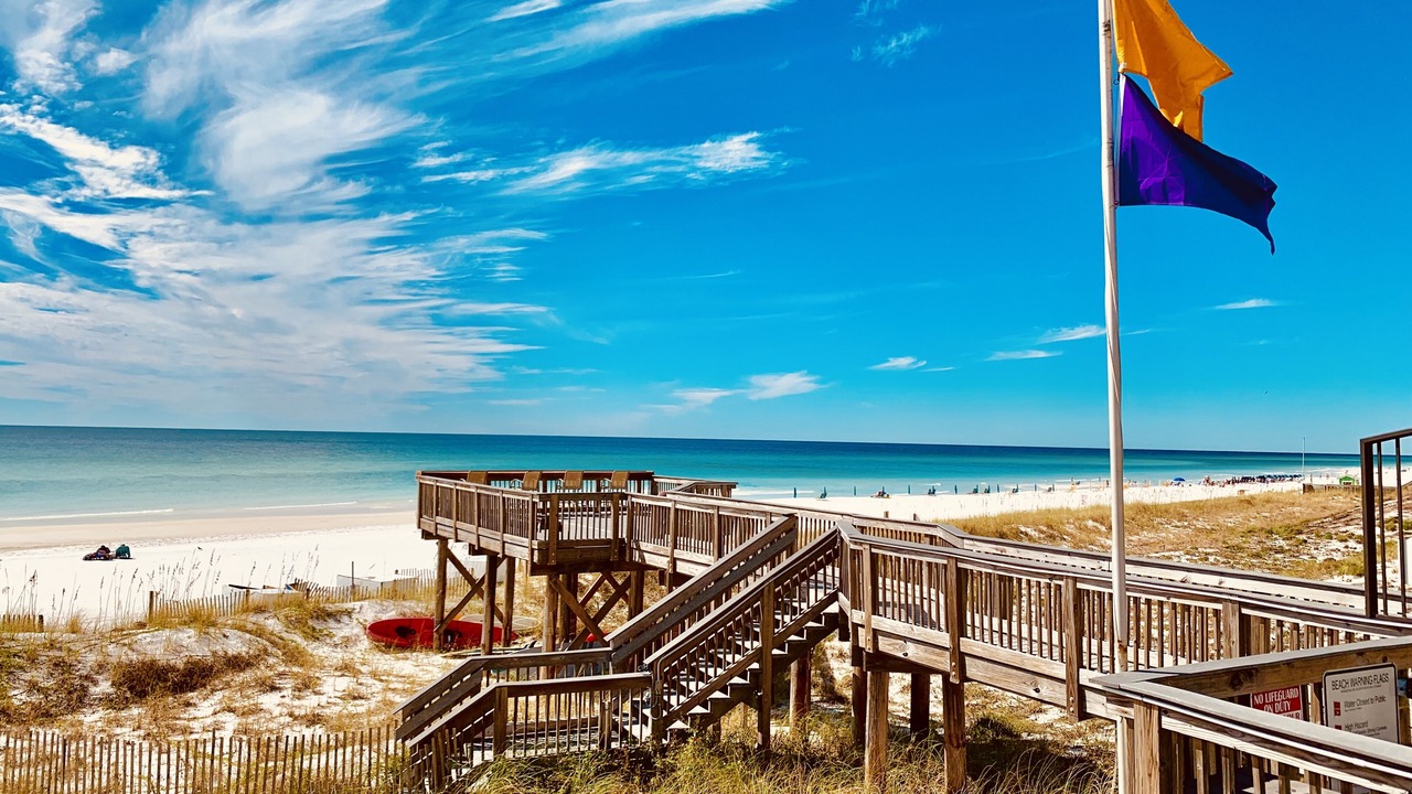 Photo of Others in Gulf Pines