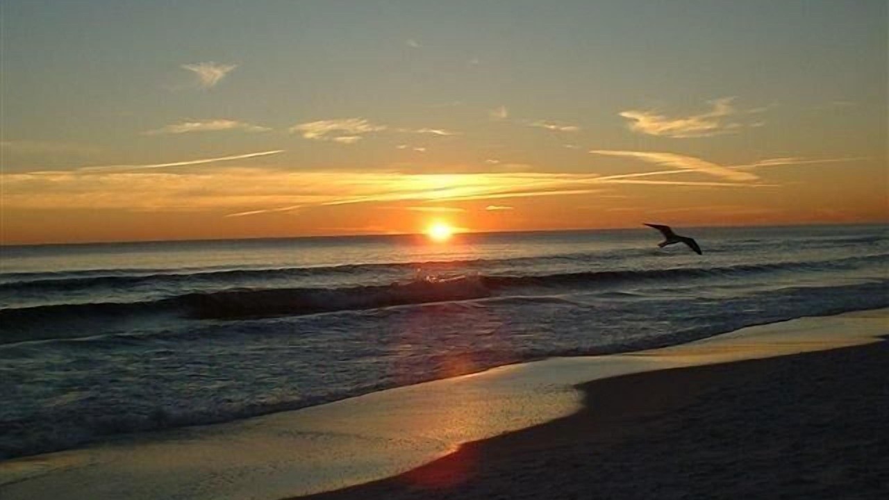 Photo of Others in Sandestin