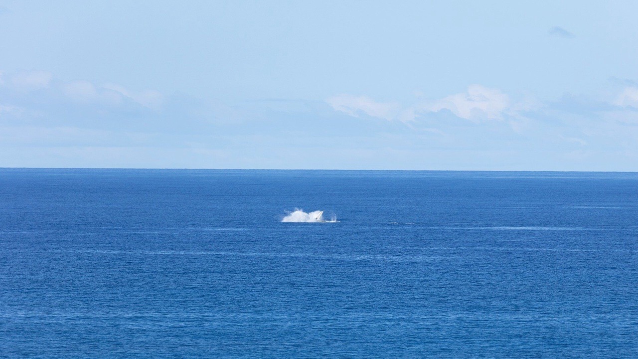 Photo of Others in Kamuela