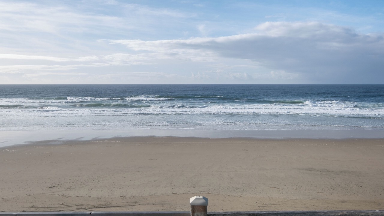 Photo of Others in Roads End