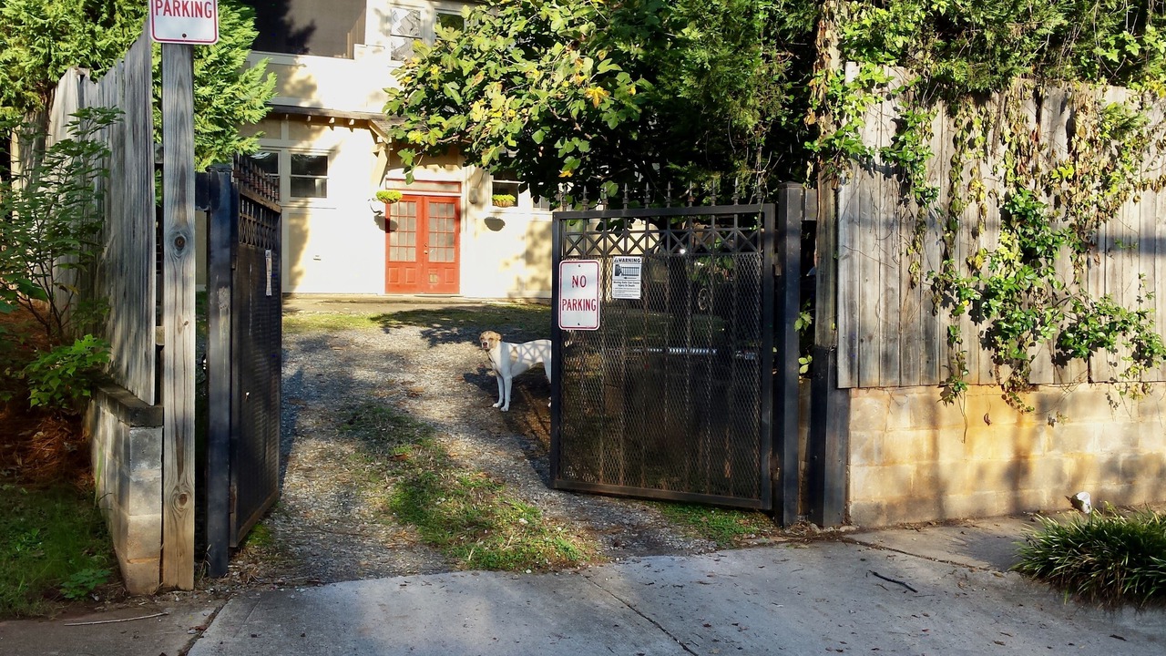 Photo of Others in Old Fourth Ward
