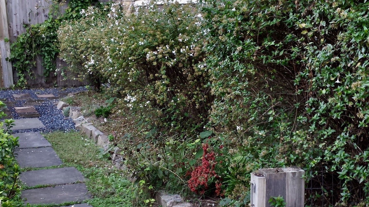 Photo of Others in Old Fourth Ward