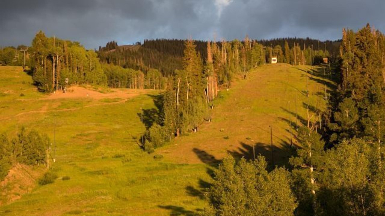 Photo of Others in Mountain Village