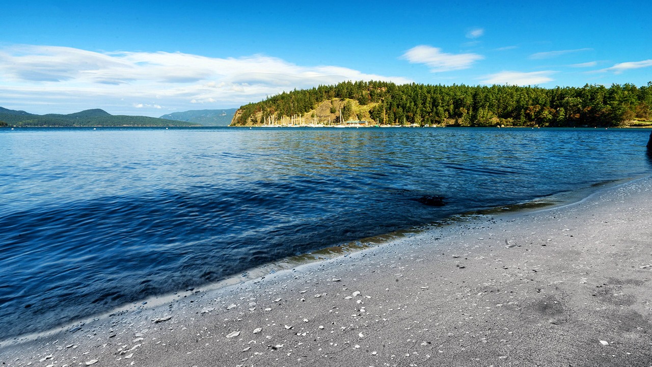 Photo of Others in Lopez Island