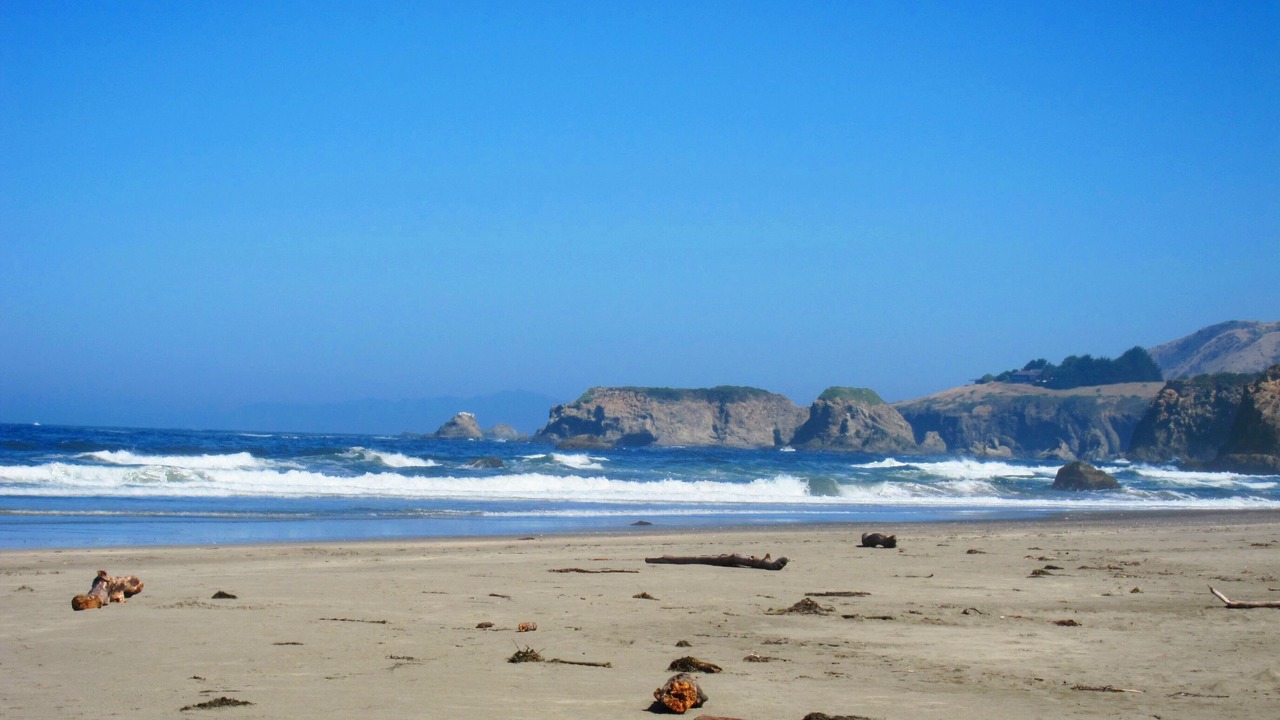 Photo of Others in Fort Bragg
