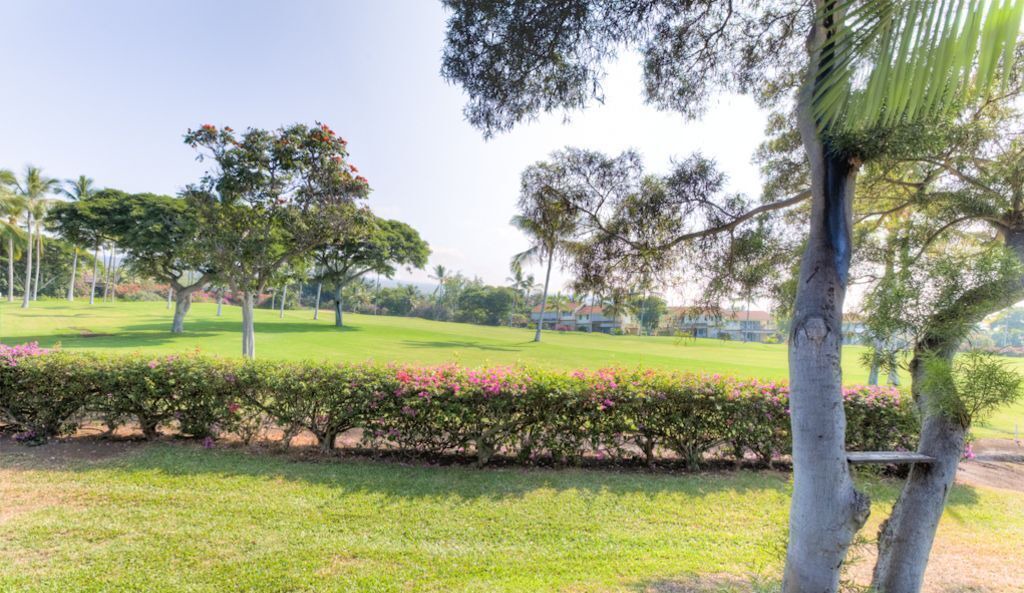 Photo of Others in Kahaluu-Keauhou