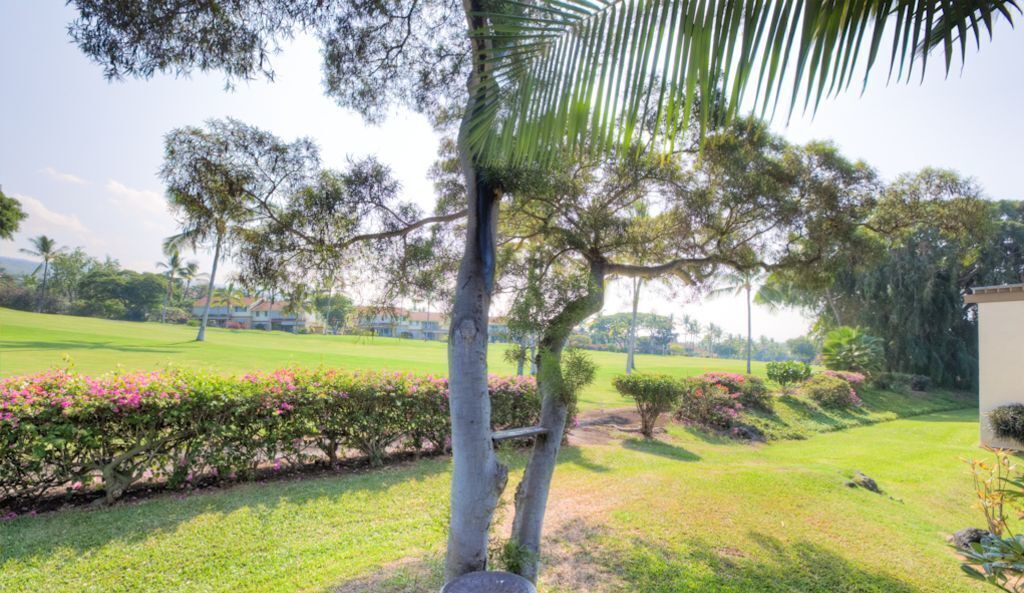 Photo of Others in Kahaluu-Keauhou