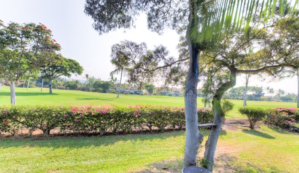 Photo of Others in Kahaluu-Keauhou