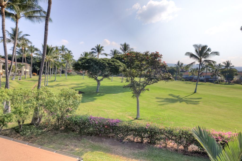 Photo of Others in Kahaluu-Keauhou