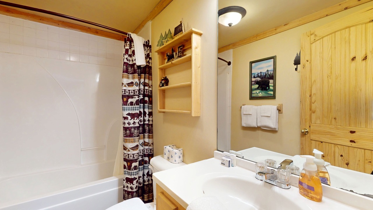 Photo of Bathroom in Sautee Nacoochee