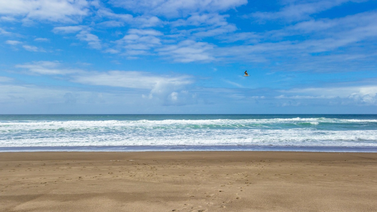 Photo of Others in Gleneden Beach