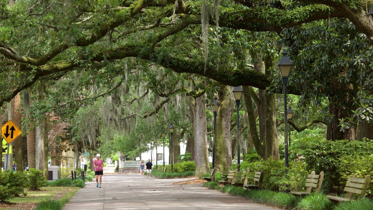 Photo of Outdoor in Historic District - North