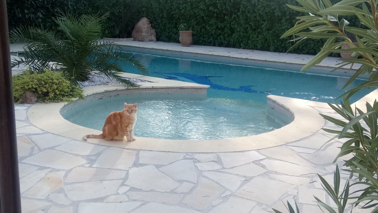 Photo of Outdoor in Flayosc