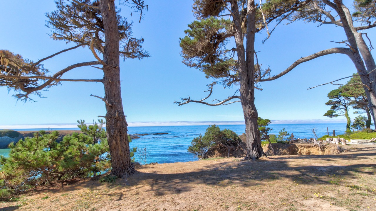 Photo of Outdoor in Fort Bragg