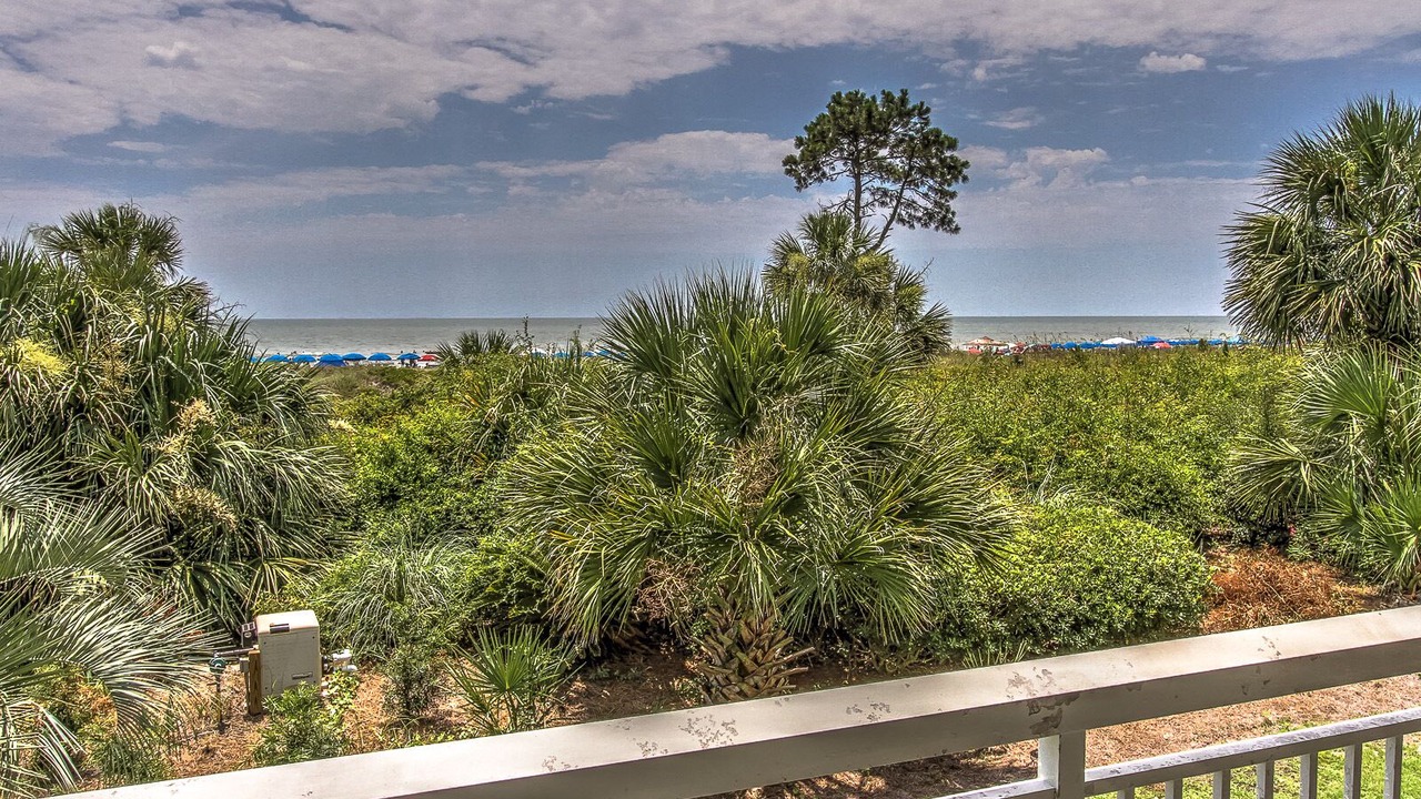 Photo of Others in North Forest Beach