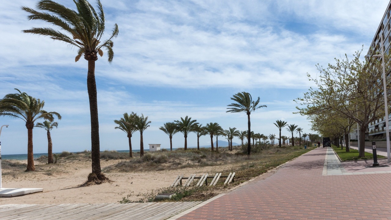 Photo of Others in Grao de Gandia