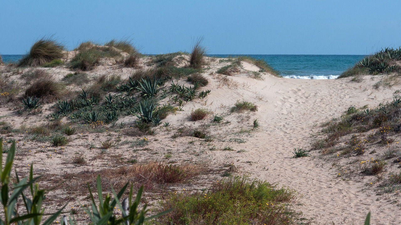 Photo of Others in Miramar