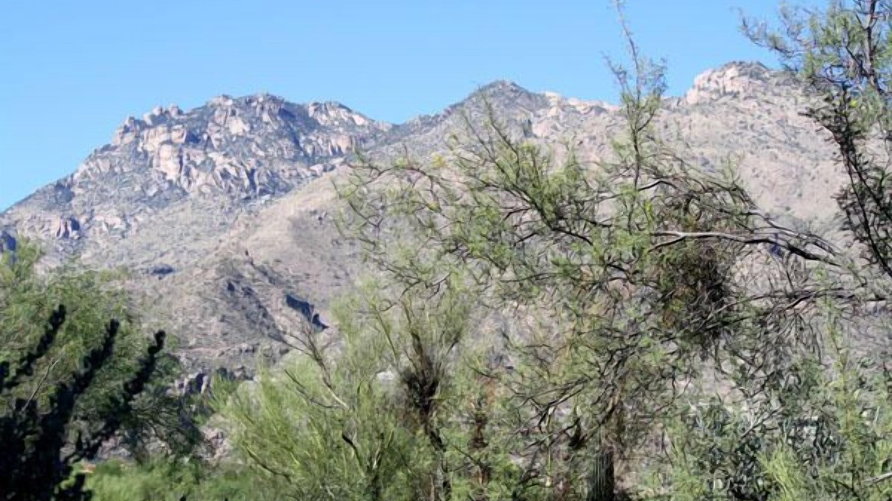 Photo of Outdoor in Tucson