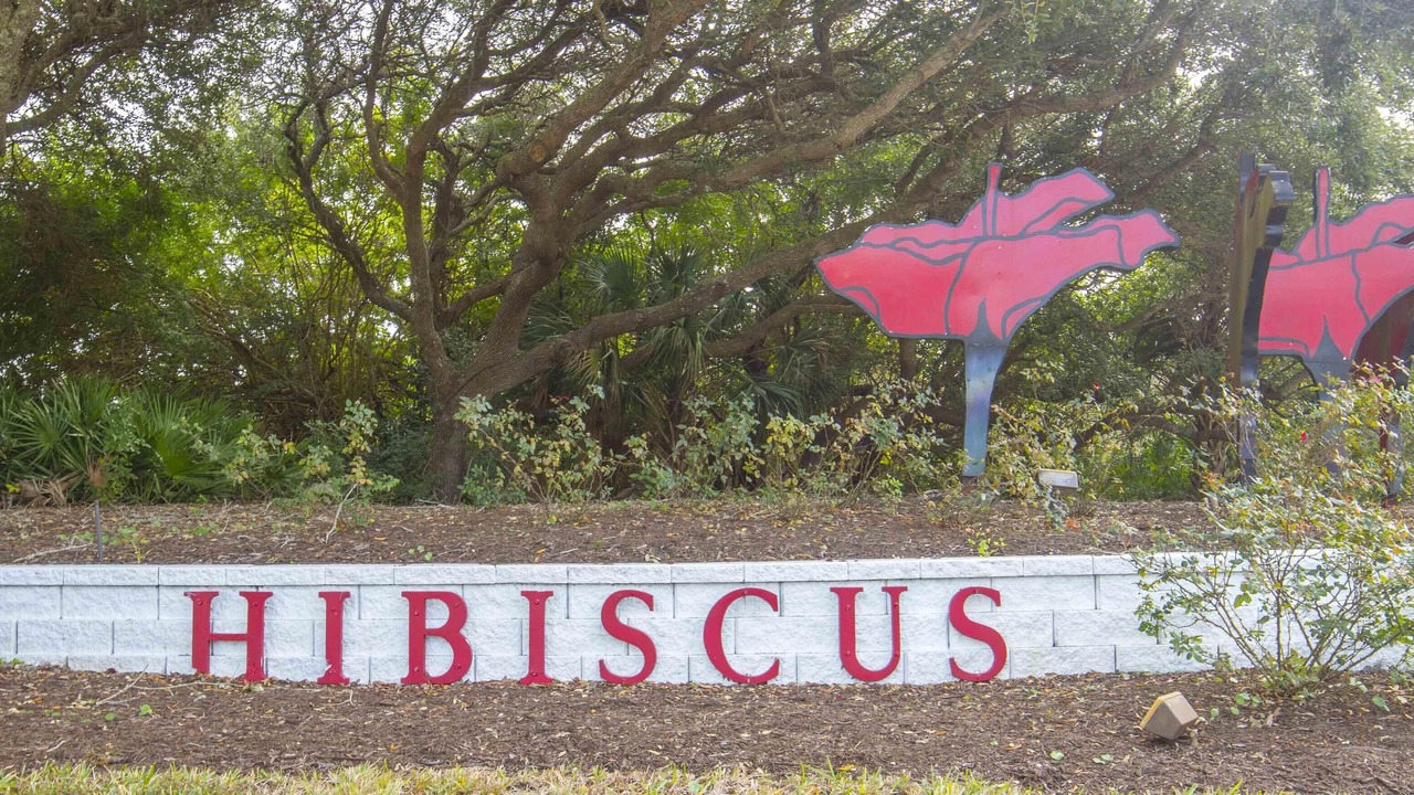 Photo of Others in Butler Beach