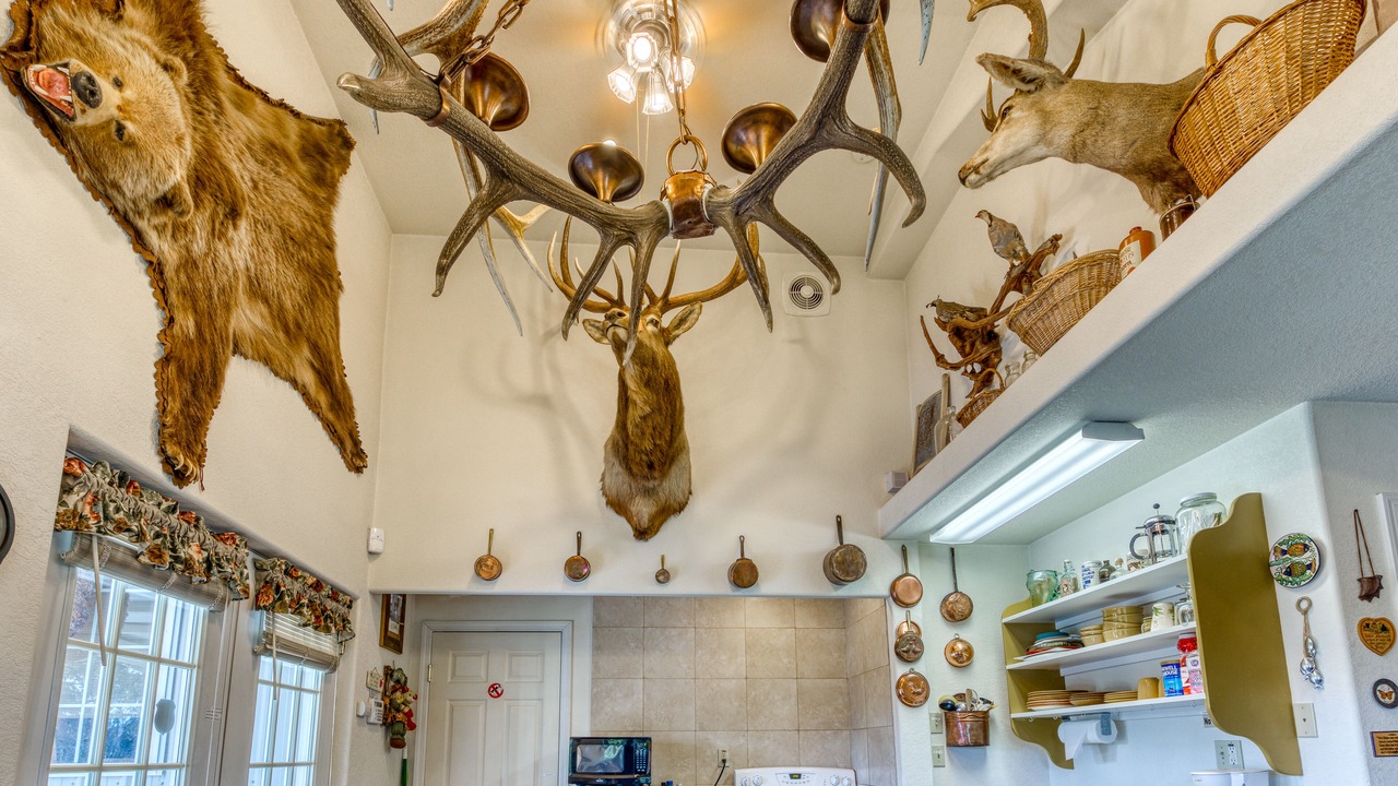 Photo of Others in Barview