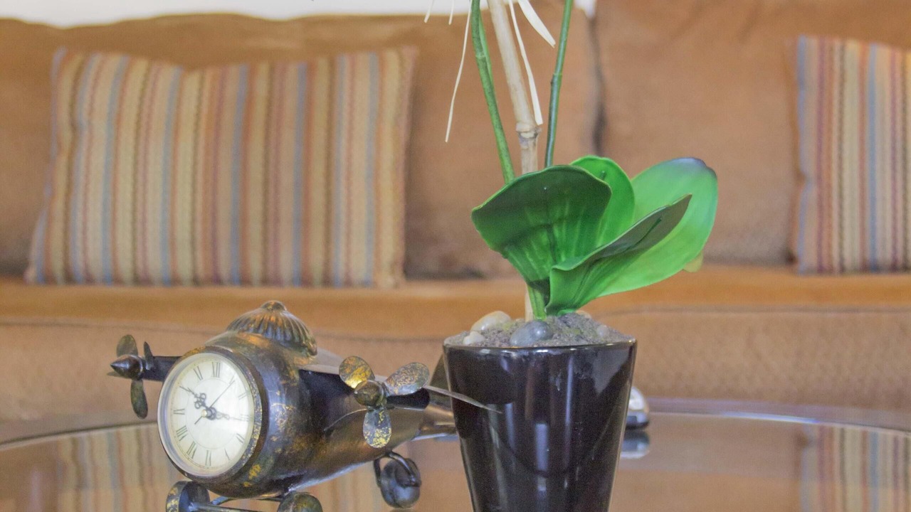 Photo of Others in St. Augustine