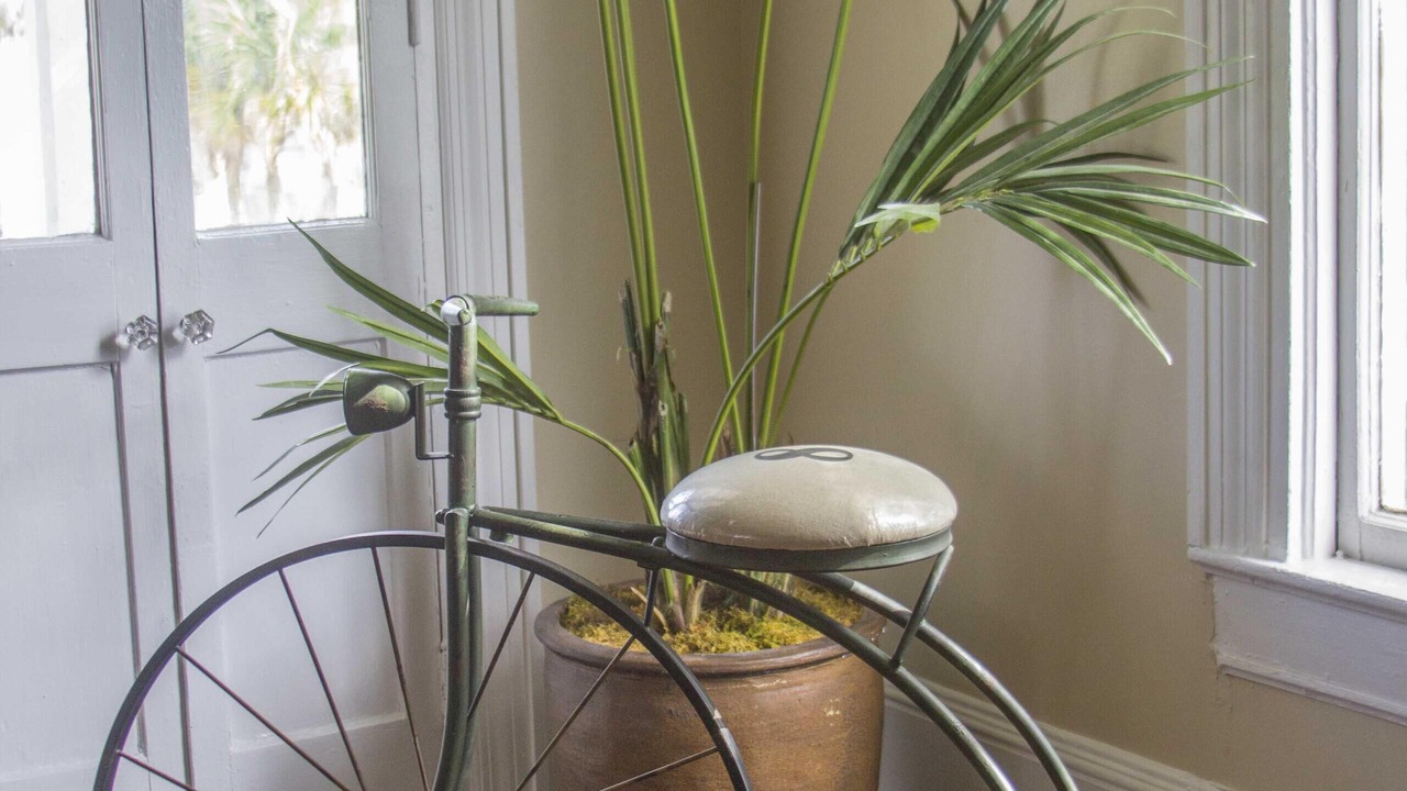 Photo of Others in St. Augustine