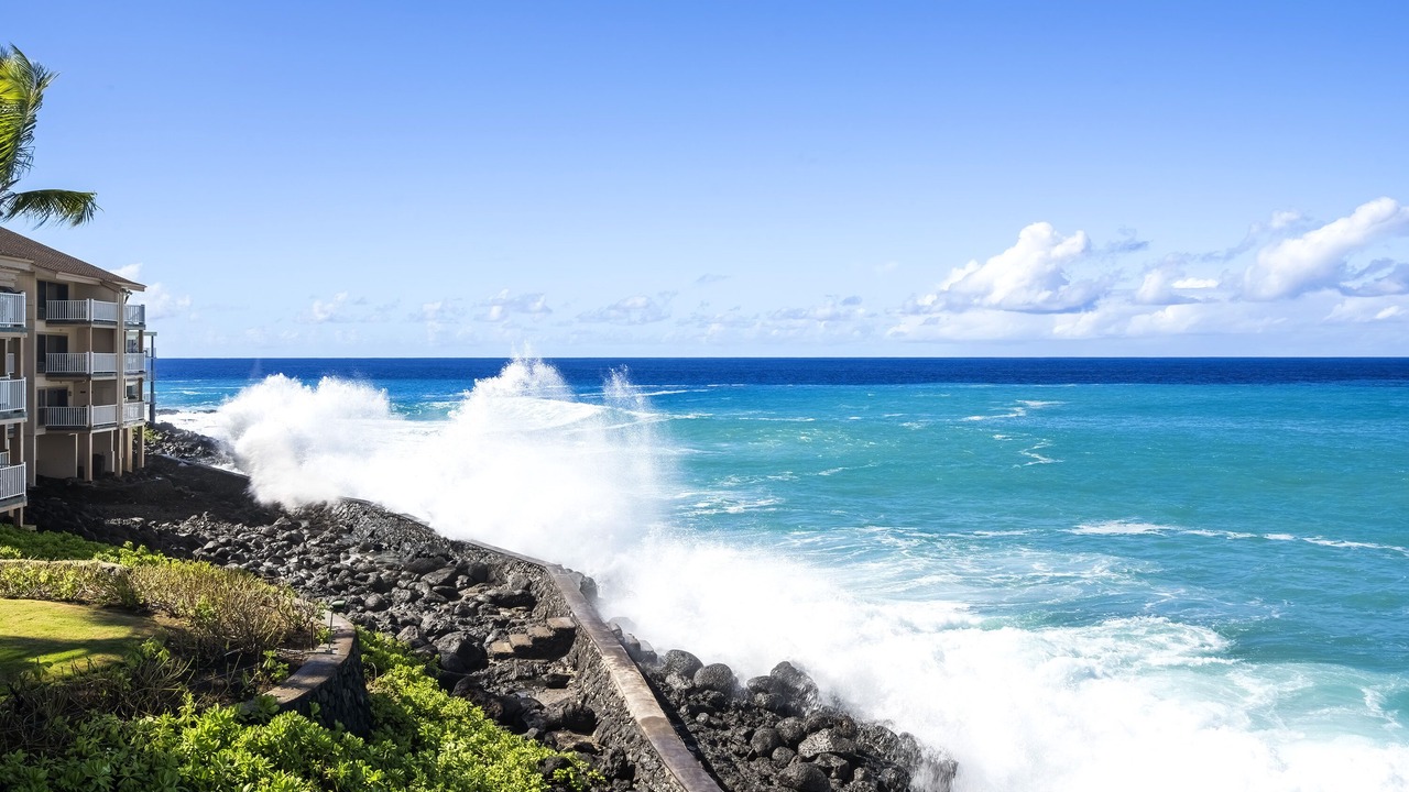Photo of Others in Kailua-Kona