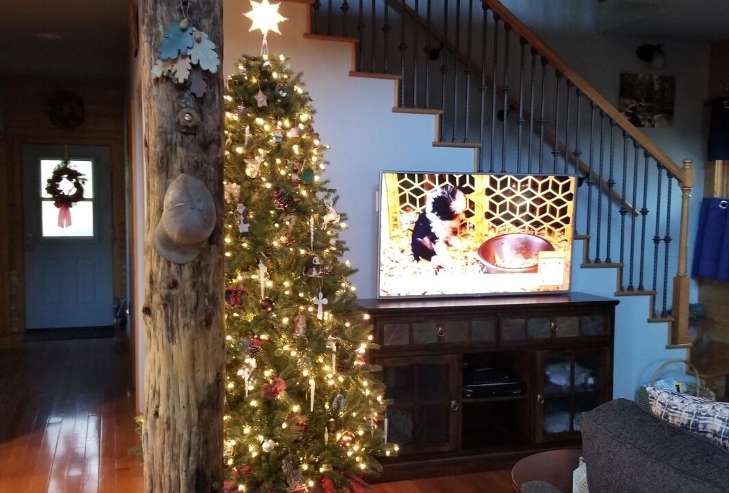 Photo of Livingroom in Williams
