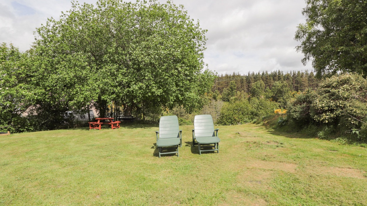 Photo of Outdoor in Nethy Bridge